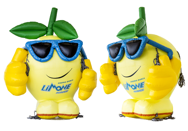 Productvergroting citroen